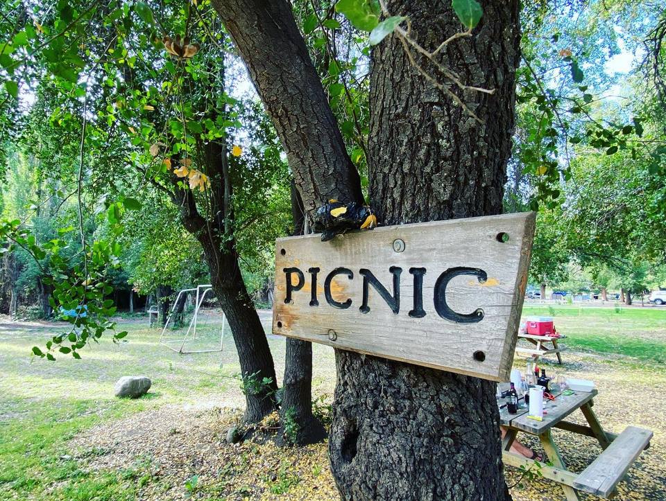 Sector de camping con carpas entre árboles en el Cajón del Maipo